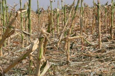 No ampliar�n el fondo de emergencia por sequ�a 