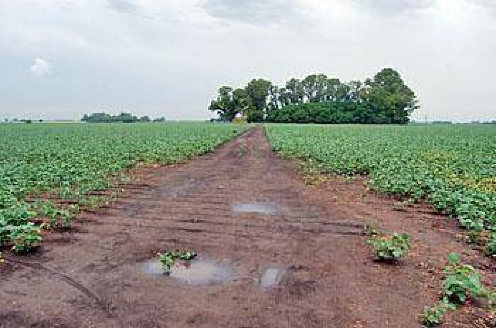 En el campo el agua fue muy bien recibida pero se necesita mucha m�s 