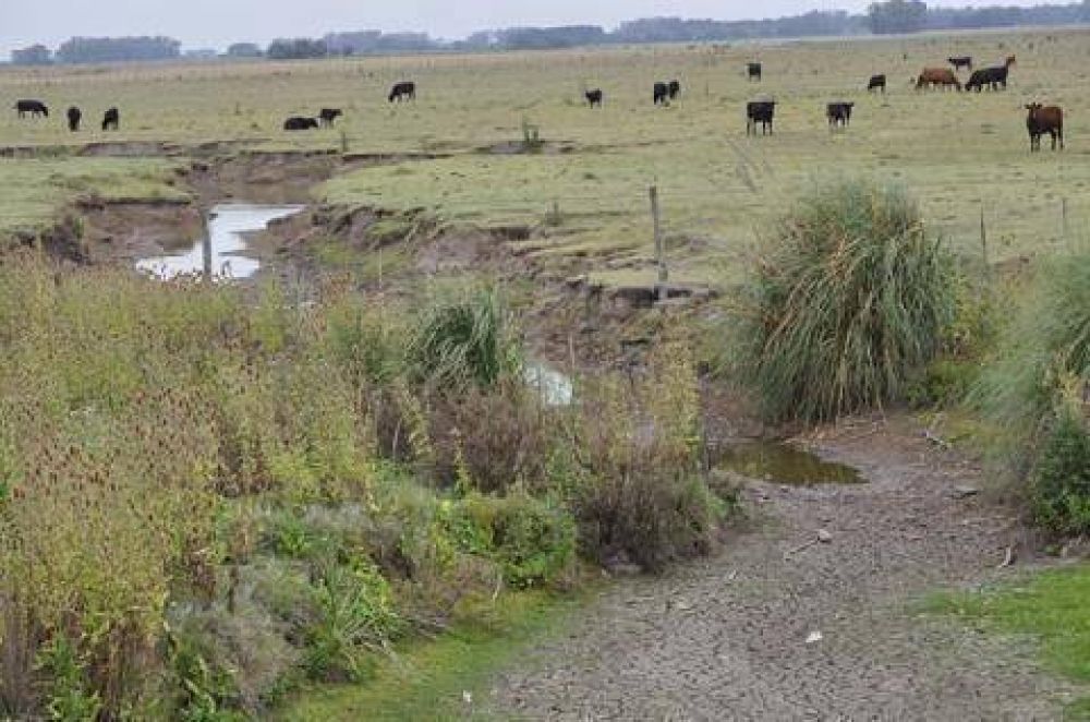 Fuerte impacto de la sequ�a en los campos del partido de Luj�n 