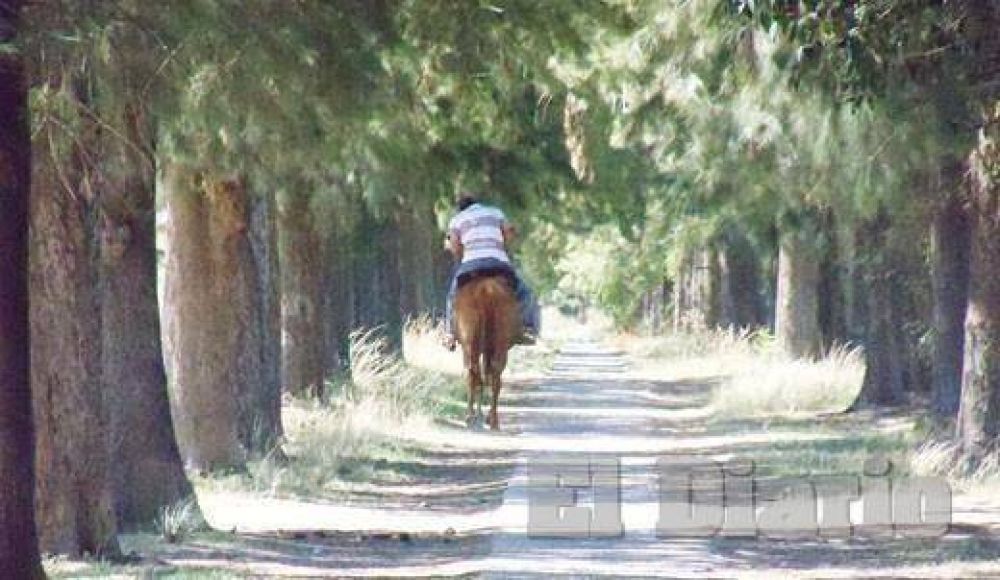Una vuelta por los encantos del Manzanares natural