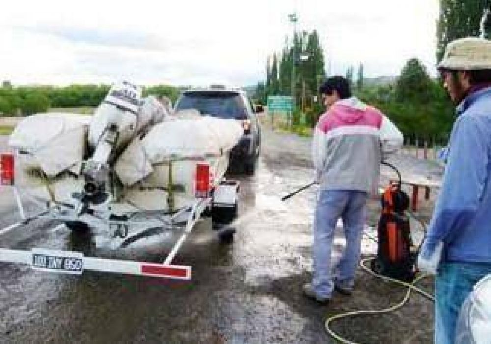 Declararon emergencia por invasi�n de alga en Neuqu�n 