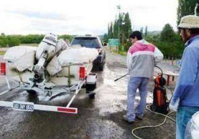 Declararon emergencia por invasi�n de alga en Neuqu�n 