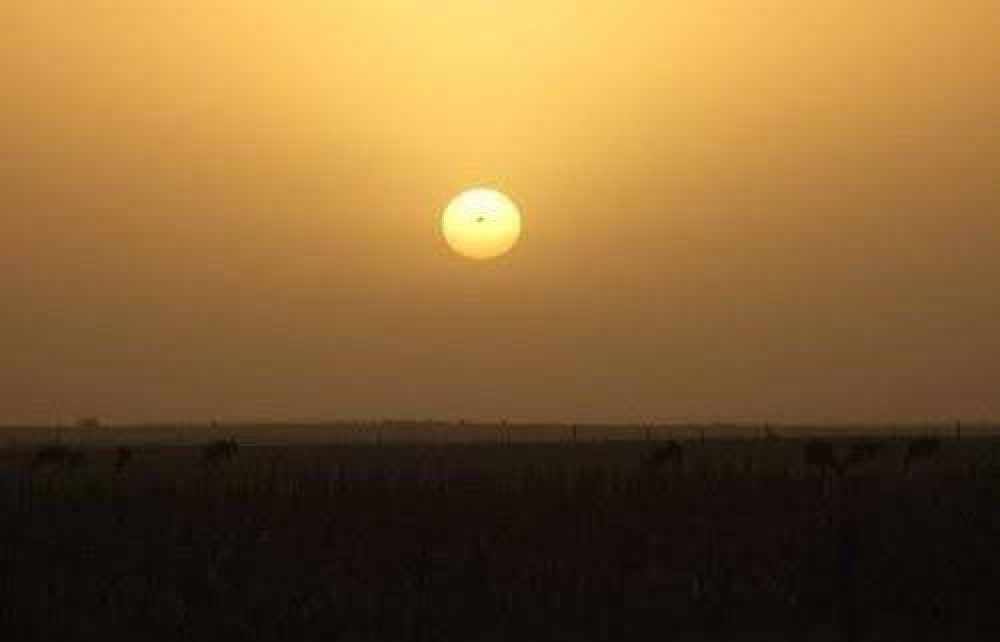 La Pampa tambi�n est� en emergencia agropecuaria nacional