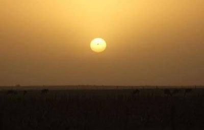 La Pampa tambi�n est� en emergencia agropecuaria nacional