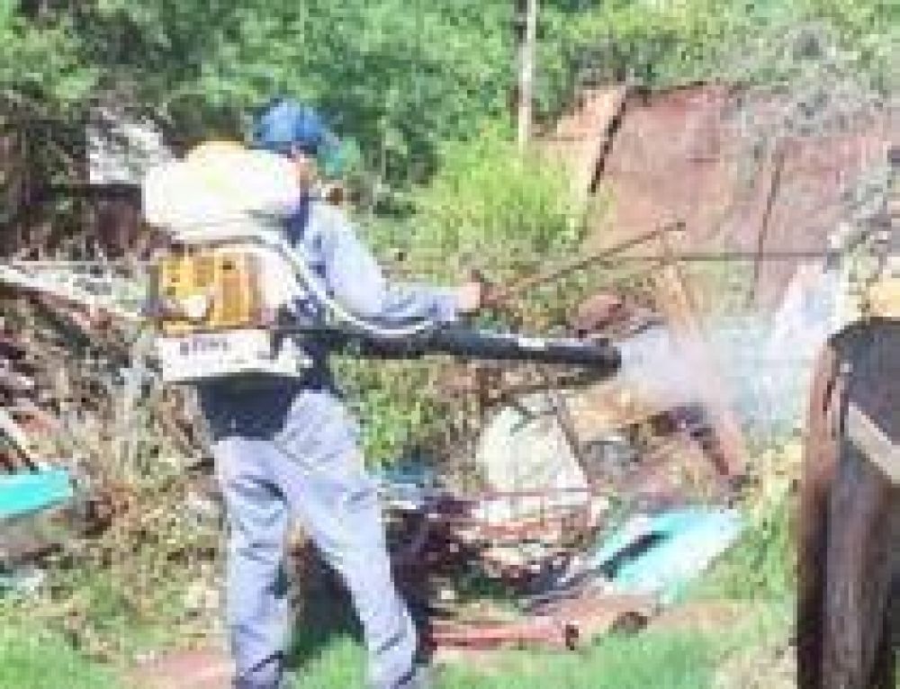 Realizar�n tareas de fumigaci�n contra el mosquito transmisor del dengue