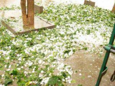 Cuantiosos da�os por el granizo a la producci�n y a un centenar de viviendas en la zona de Pinedo.
