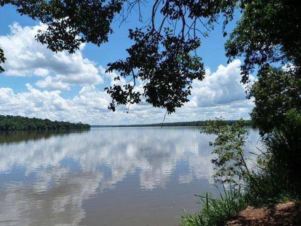 Andresito pide asfaltar la ruta del Parque Nacional Iguaz�