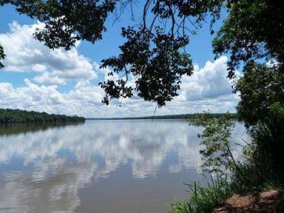 Andresito pide asfaltar la ruta del Parque Nacional Iguaz�