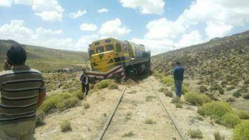 El Tren Patag�nico sufri� un nuevo descarrilamiento