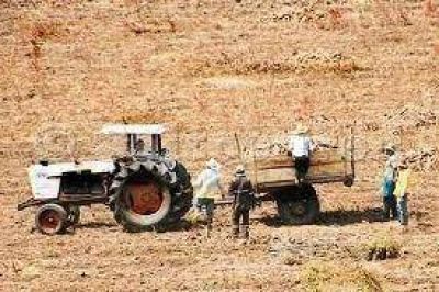Emergencia agropecuaria en Salto