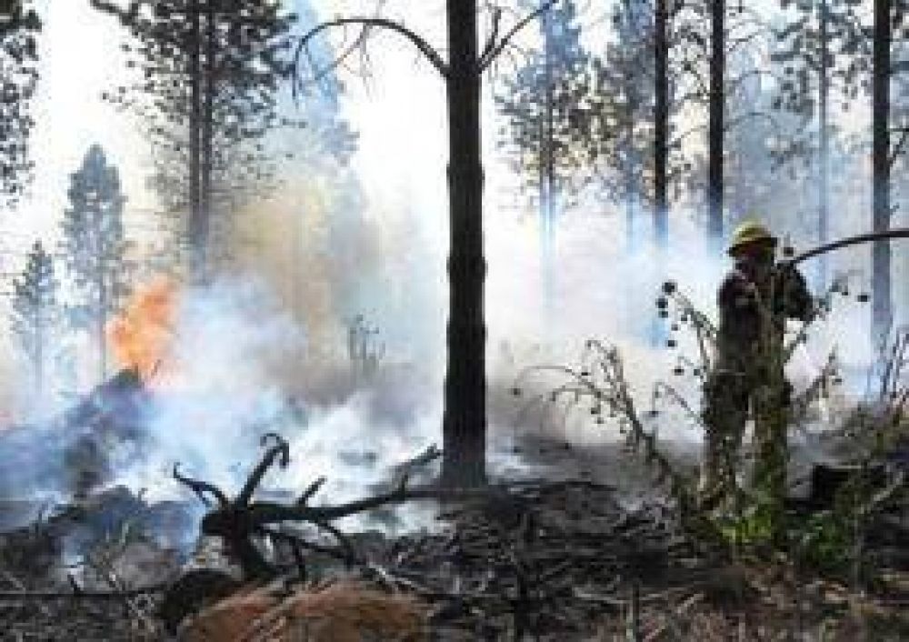 Estaban controlados todos los incendios