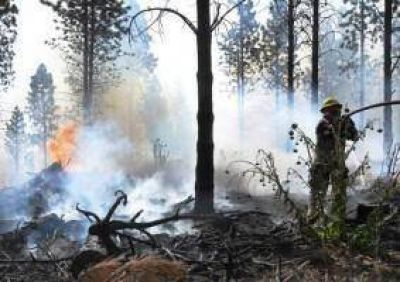 Estaban controlados todos los incendios
