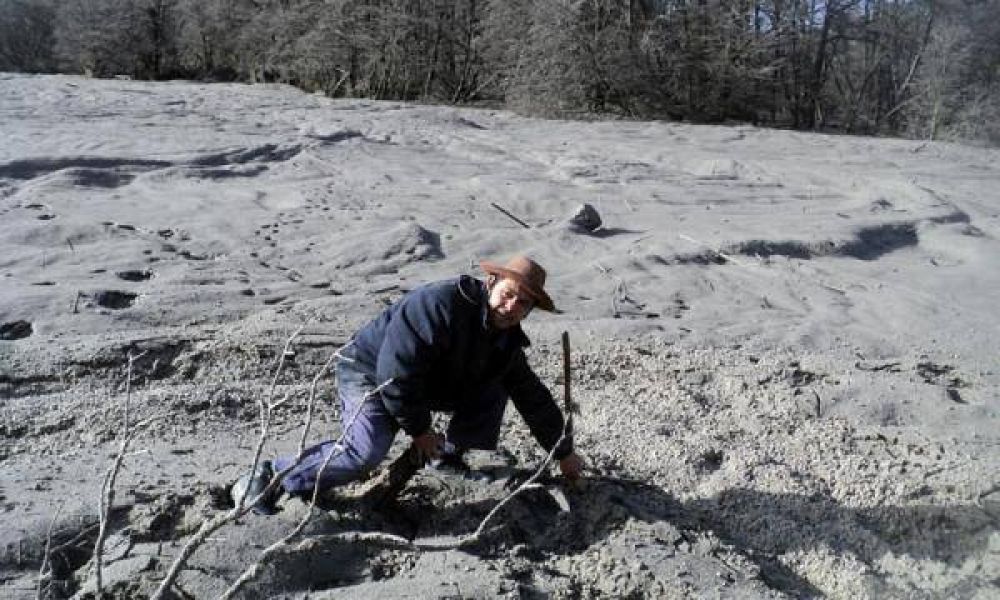 Decretan en Chubut la emergencia agropecuaria por las cenizas volc�nicas