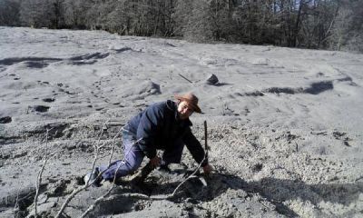Decretan en Chubut la emergencia agropecuaria por las cenizas volc�nicas