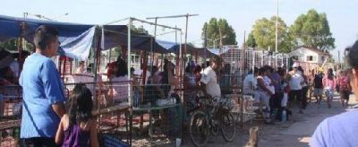 LOMAS DE ZAMORA: Luego del operativo de reubicaci�n los puesteros de la ex Saladita trabajan en un nuevo predio
