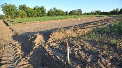 El municipio pide a la Justicia que investigue un loteo ilegal