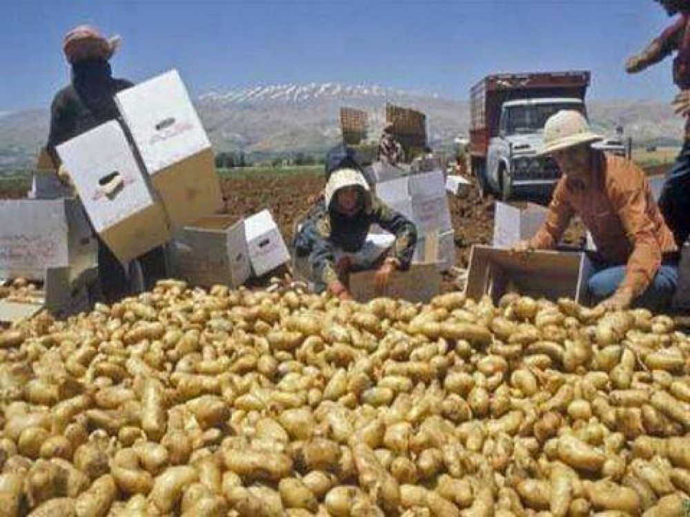El 40 % de los alimentos se pierde entre la cosecha y el consumidor