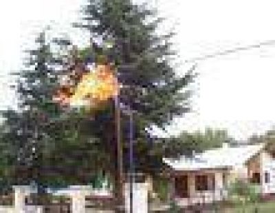 Gas Natural: en la mira de las autoridades de la Naci�n.