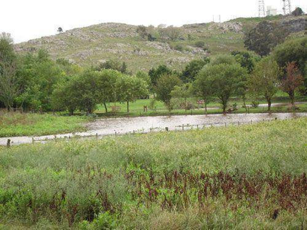 Un proyecto que impulsa la reforestaci�n del cord�n serrano y la implementaci�n de guardaparques.