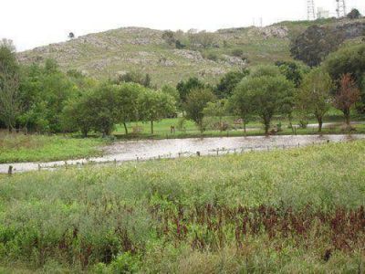 Un proyecto que impulsa la reforestaci�n del cord�n serrano y la implementaci�n de guardaparques.