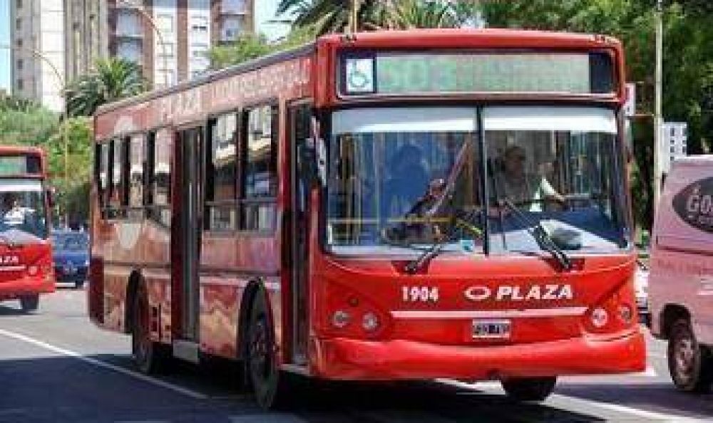 La Municipalidad analiza si existen elementos para rescindirle el contrato a Plaza