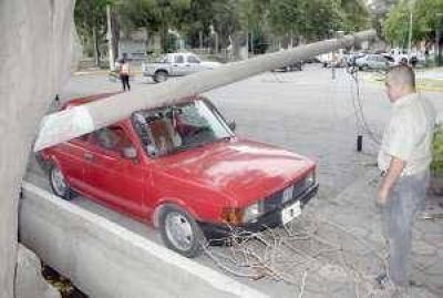 Unos 25 �rboles ca�dos y cortes de luz por el viento