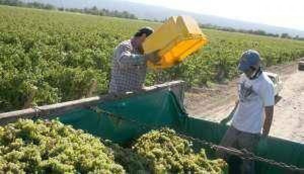 Mosto: ampliar�n el uso del subsidio de los $0,15
