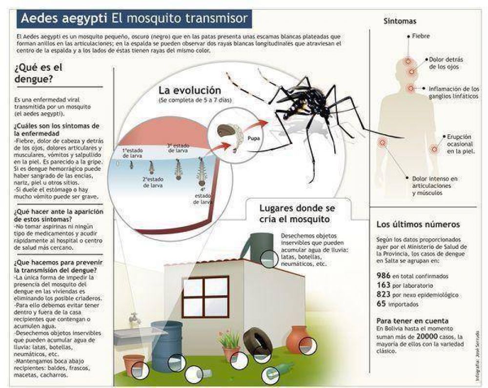 Intensifican acciones contra el dengue