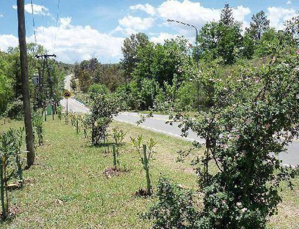 Programa Primera Impresi�n: Cortaderas renueva el ingreso a la localidad