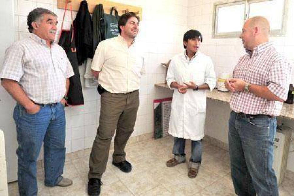 Puerto Madryn: La perrera municipal fue reparada a nuevo