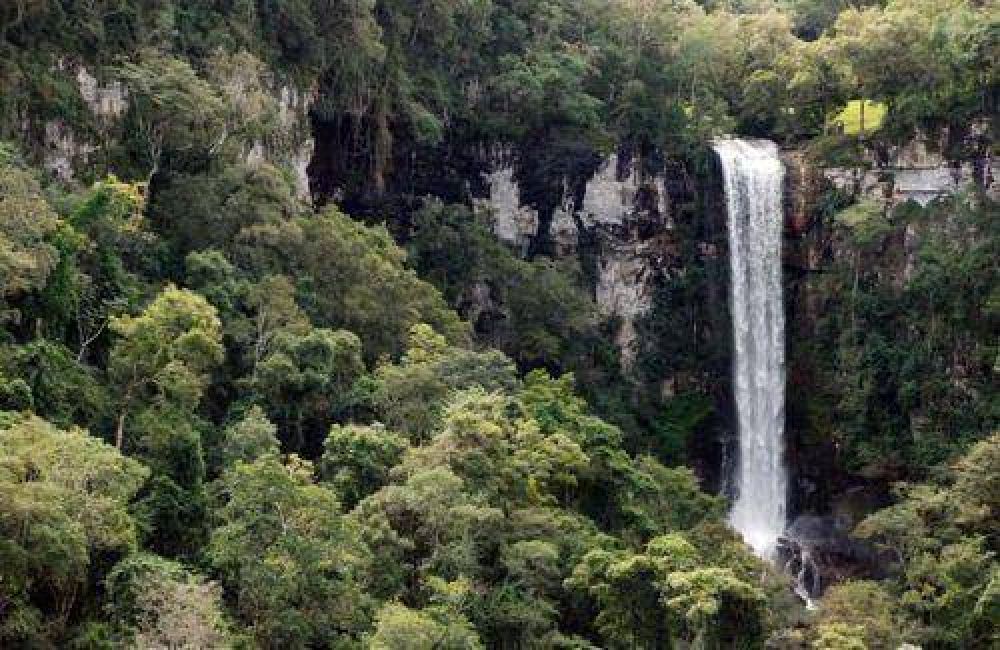M�s de 8500 personas visitaron el Salto Encantado durante enero 