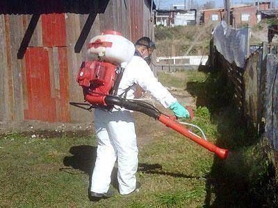 En la regi�n, se reforzaron las tareas de prevenci�n contra el dengue