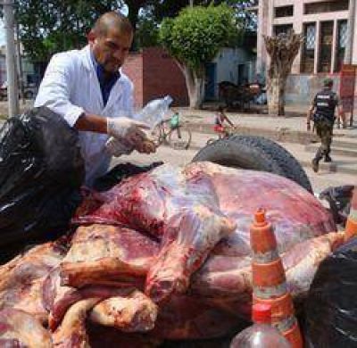 Seis mil kilos de carne decomisados en 90 d�as