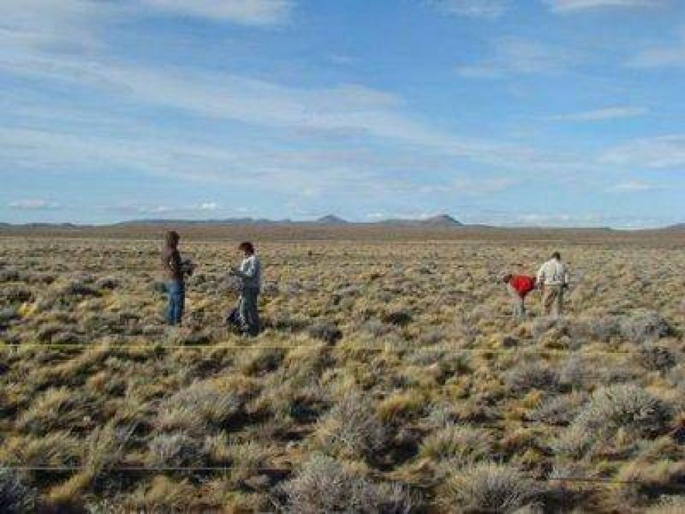 Investigadores de la UNSJ en revista Science