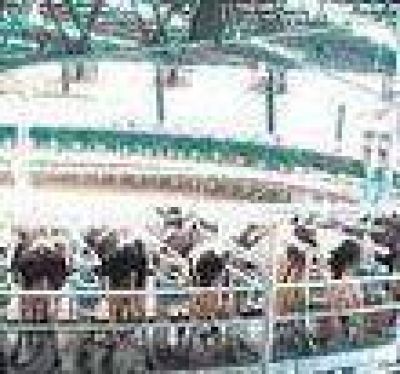 Productores tamberos: aumento en la energ�a. Piden explicaciones.