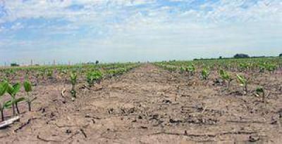 Tras el decreto provincial se analizar� la situaci�n de cada productor del distrito.