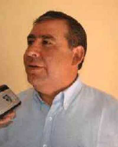 El diputado Brizuela se despega de Cristina en el tema miner�a