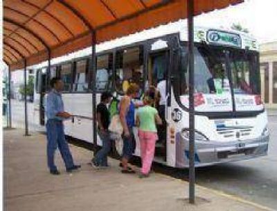 Suman dos nuevas l�neas de transporte