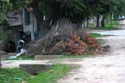 Piden que la recolecci�n de las ramas se de con m�s frecuencia