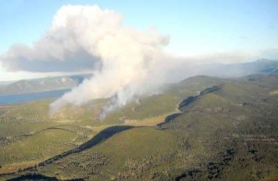 El fuego ya afect� 150 hect�reas de bosques
