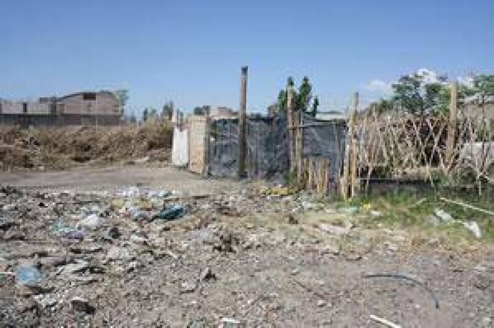 Vecinos alarmados por la aparici�n de alacranes