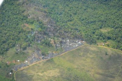 Los incendios de Caa Yar� y Cu�a Pir� est�n extinguidos