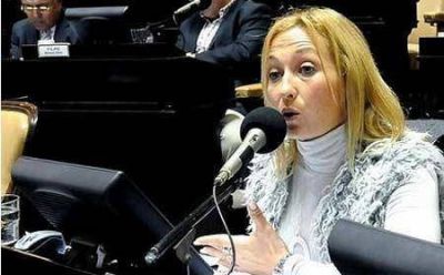 M�nica L�pez pidi� a la provincia que intervenga en el supuesto desmonte en la costa de Avellaneda