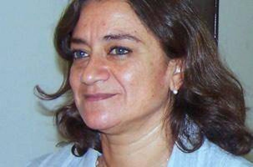 Exigen la presencia de la gobernadora Corpacci en la C�mara de Diputados de la Naci�n