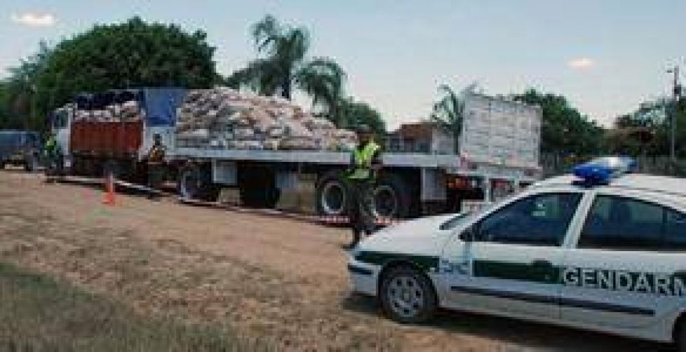 Restringen circulaci�n en la ruta nacional 11 con presencia de GN