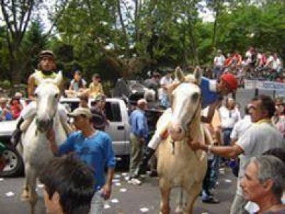 Nueva movilizaci�n para reclamar la reapertura del Hip�dromo