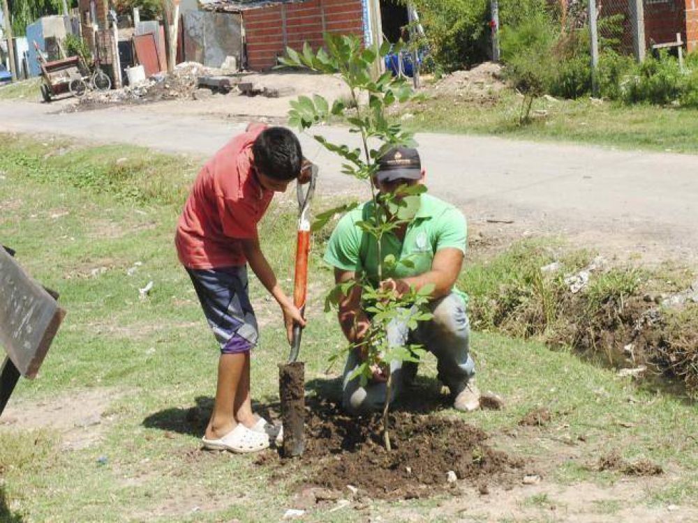 Limpieza en el Barrio Kolynos