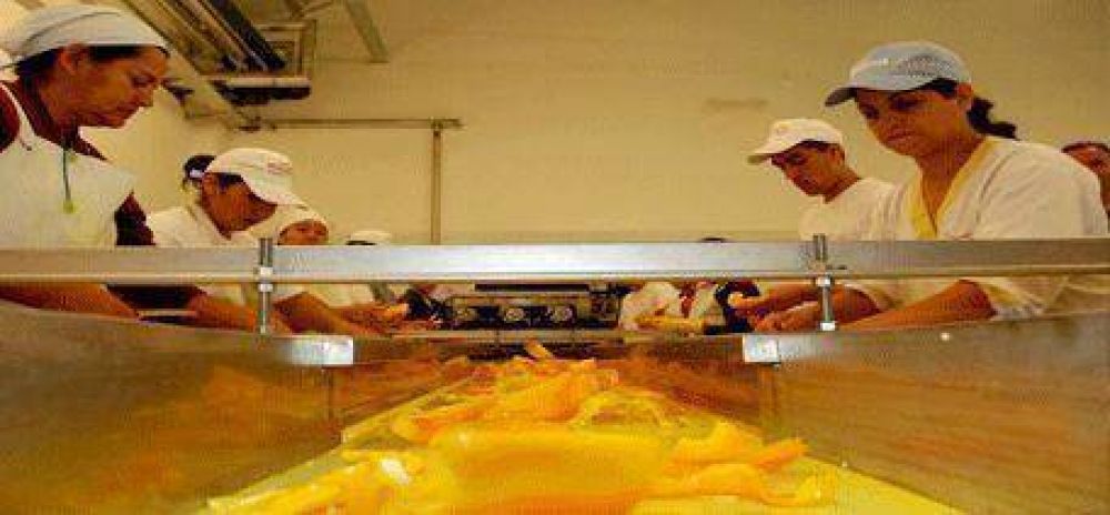Agro Andina exportar� Morron Amarillo a Aleman�a