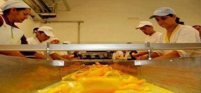 Agro Andina exportar� Morron Amarillo a Aleman�a