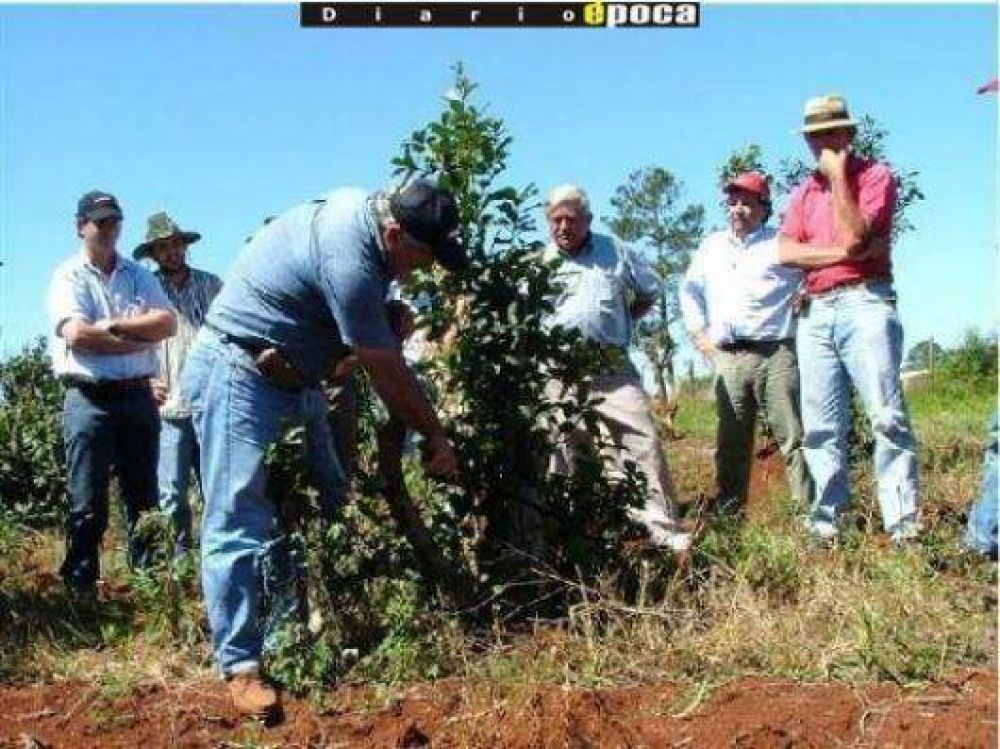 Sequ�a: se agrava y no descartan declarar emergencia total en la provincia